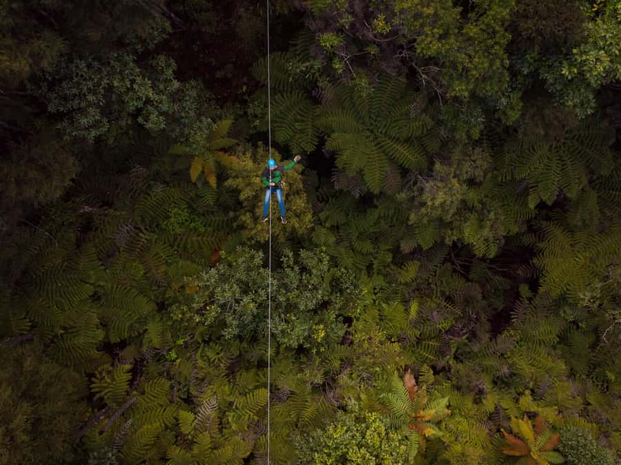 Coromandel: Guided Zipline Tour Experience - A railway ride into Coromandel’s forest