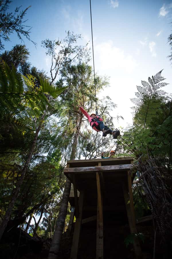 Coromandel: Guided Zipline Tour Experience - What the small group format changes
