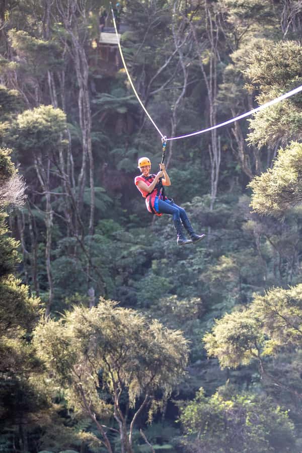 Coromandel: Guided Zipline Tour Experience - Booking and cancellation details