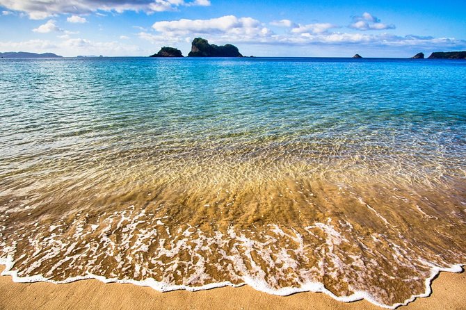 Coromandel Peninsula Discovery - Private Tour From Auckland - Lunch at Hot Waves Café