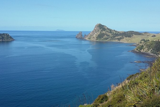 Coromandel Peninsula Discovery - Private Tour From Auckland - Māori stories and the value of a private guide