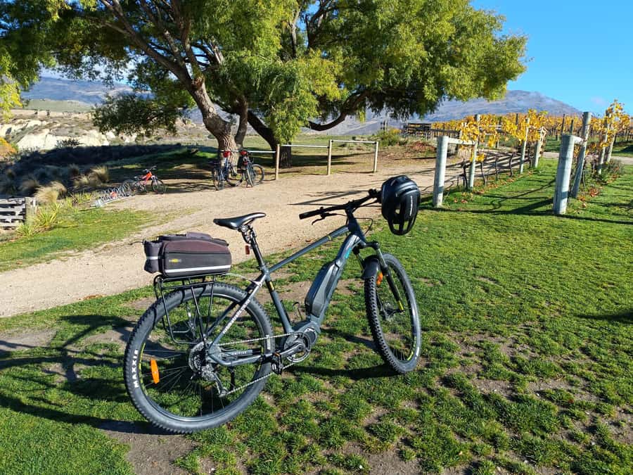 Cromwell: Lake Dunstan Trail Bike Rental and Luxury Shuttle - Hugo suspension bridge and the best photo stops