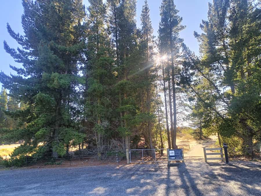 Cromwell: Lake Dunstan Trail Bike Rental and Luxury Shuttle - The luxury shuttle back to Cromwell