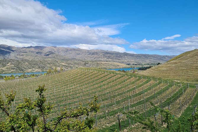 Cromwell Wine Tasting Tour using Classic Car - The drive, pickup, and 10:00 am start
