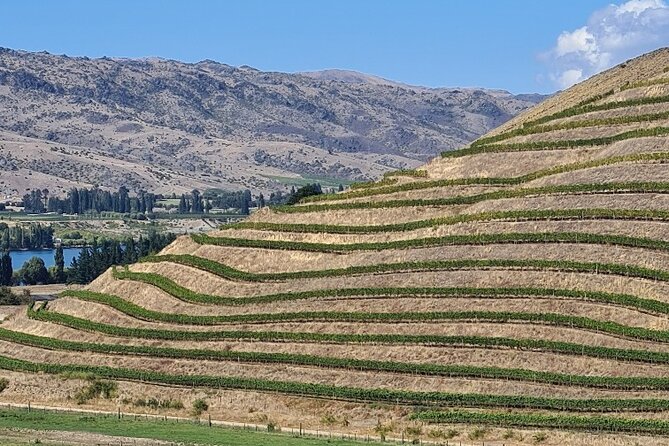 Cromwell Wine Tasting Tour using Classic Car - The best parts of the itinerary