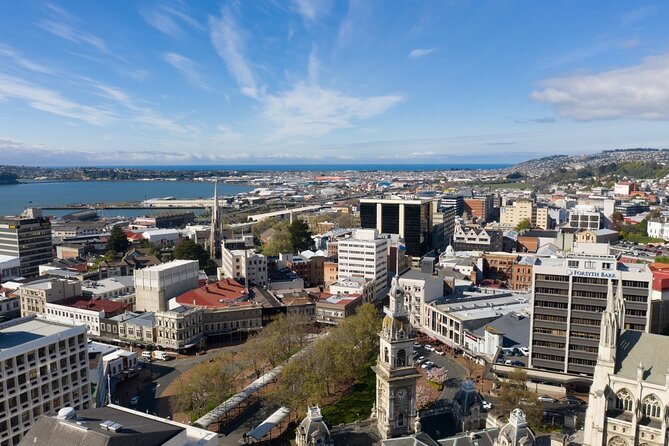Cruise Dunedin City and Castle Tour - Why this six-and-a-half-hour tour works from Port Chalmers