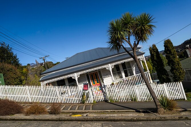 Cruise Dunedin City and Castle Tour - The guides add value between the stops