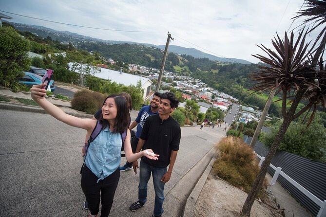 Cruise Dunedin City and Castle Tour - Is the $121.01 price fair?