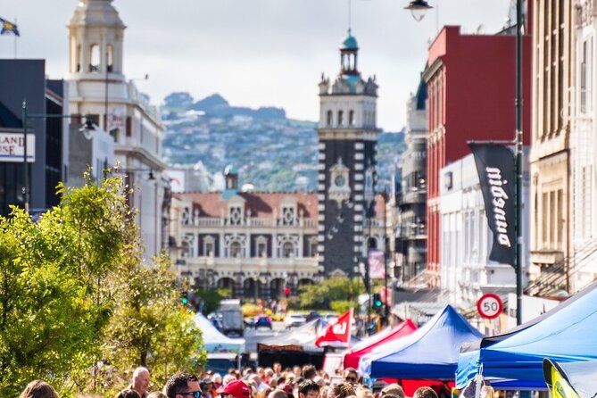 Cruise Dunedin City and Castle Tour - The Octagon puts Dunedin in context