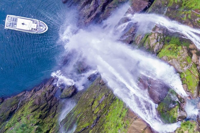 Cruise Milford NZ Small Boutique Cruise Experience - What makes this Milford Sound cruise worth considering