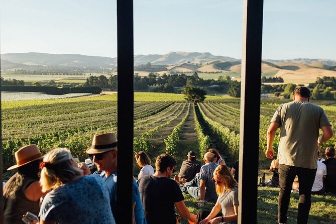 CRUISE SHIP DAY LYTTELTON Hop On Hop Off Wine Tours to Waipara - Guides, timing, and cruise-day manners
