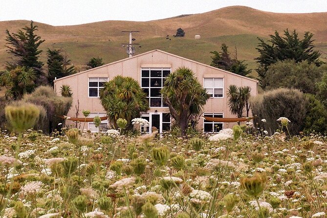 CRUISE SHIP DAY LYTTELTON Hop On Hop Off Wine Tours to Waipara - Who will get the most from the $80.36 fare?