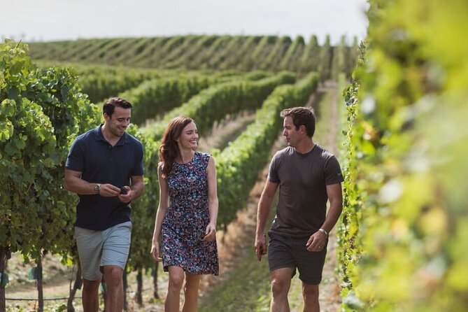 CRUISE SHIP DAY Marlborough Hop On Hop Off Wine Tours - Omaka’s cars, aircraft and local heritage