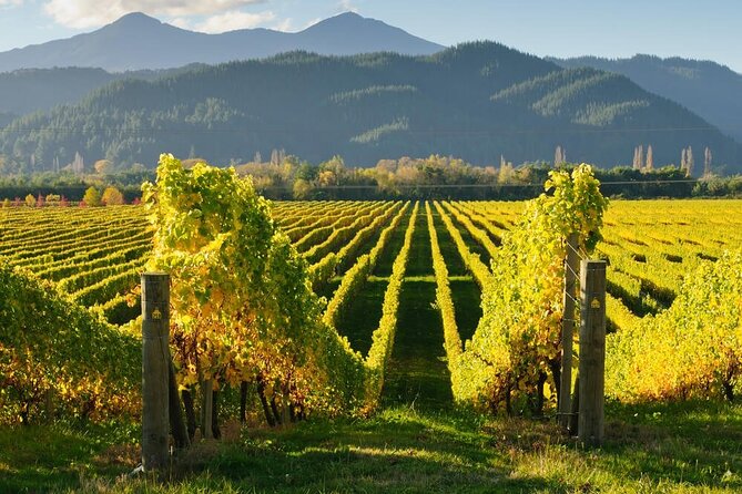 CRUISE SHIP DAY Marlborough Hop On Hop Off Wine Tours - Cafés, pubs and more cellar doors