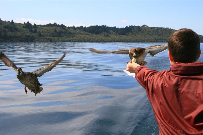 Daily Scenic Maori Rock Carving Cruise Taupo - Seeing the Māori Rock Carvings up close