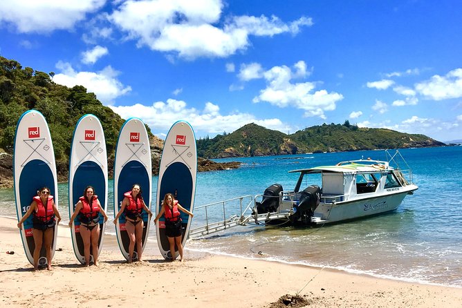 Day Cruise & Island Tour - Snorkel/Wildlife/Paddleboard/Islands - Wildlife watching needs realistic expectations