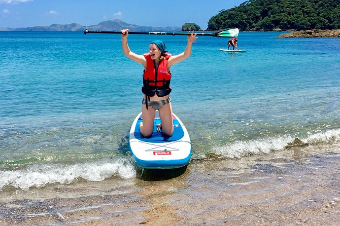 Day Cruise & Island Tour - Snorkel/Wildlife/Paddleboard/Islands - Who will enjoy this Bay of Islands outing