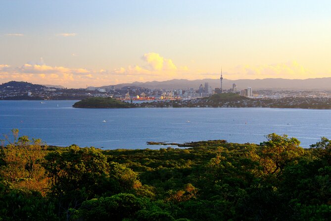 Day sea kayak tour Rangitoto Island - Coffee, snacks, and a hot BBQ on the shore