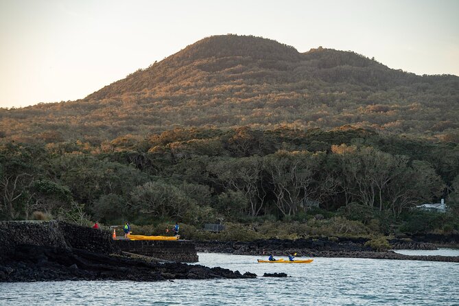 Day sea kayak tour Rangitoto Island - What the $152.04 price really covers