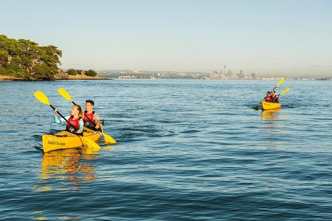 Day sea kayak tour Rangitoto Island - Who will enjoy this Auckland day out