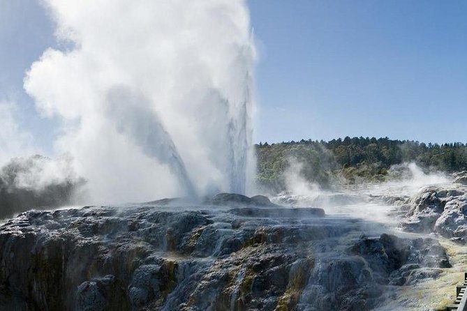 Day Tour Hobbiton + Rotorua from Auckland in Luxury Minibus - Why this day trip works from Auckland