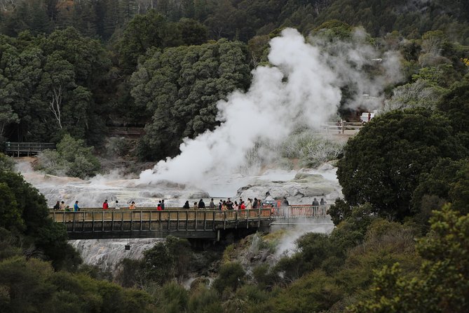 Day Tour Hobbiton + Rotorua from Auckland in Luxury Minibus - Te Puia: lunch, Māori arts, and geothermal activity