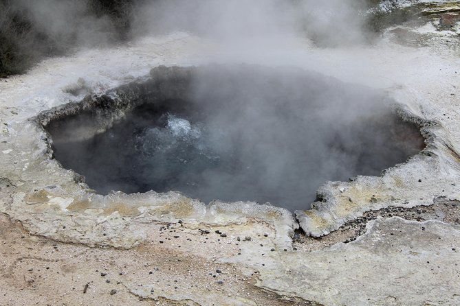 Day Tour Hobbiton + Rotorua from Auckland in Luxury Minibus - A short look at Lake Rotorua and the city