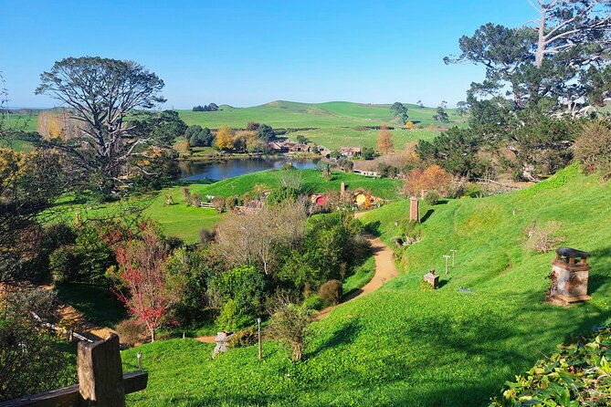 Day Tour Hobbiton + Rotorua from Auckland in Luxury Minibus - Guides, group size, and the human side