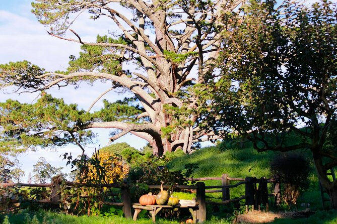 Day Tour Hobbiton + Rotorua from Auckland in Luxury Minibus - Who should book this experience