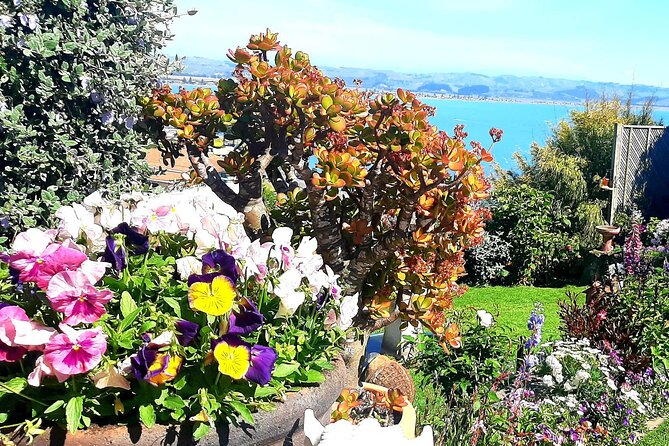 Deco Napier, Te Mata Peak, Garden Walk and Wine Tasting Tour - Why this tour works well in Napier
