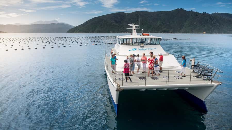 Depart Picton: Marlborough Sounds Afternoon Seafood Cruise - Key points to know before booking