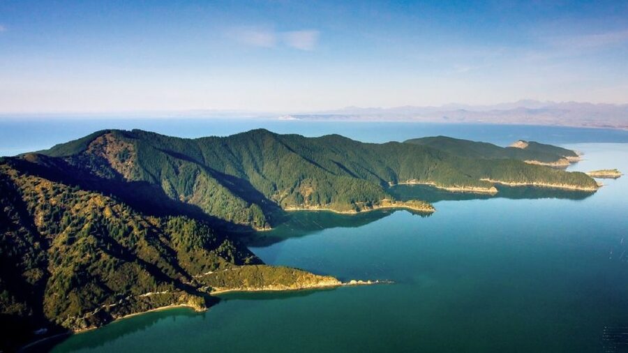 Depart Picton: Marlborough Sounds Afternoon Seafood Cruise - Who will enjoy this Marlborough Sounds cruise?