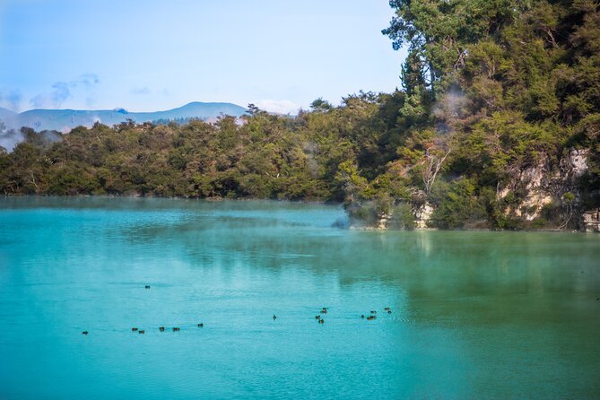 Devil's Bath Experience - Private Tour to Wai-O-Tapu & Lake Taupo - Comfort, fitness, and what to pack