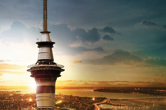 Discover Auckland City Tour: The City of Sails - Mount Eden and the final city view