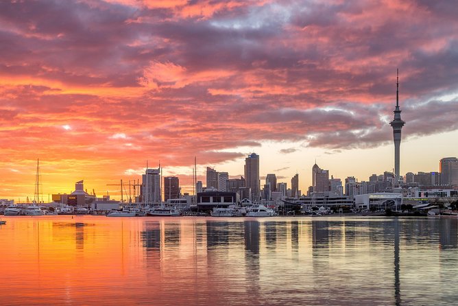 Discover Auckland City Tour: The City of Sails - What the small group and vehicle setup mean