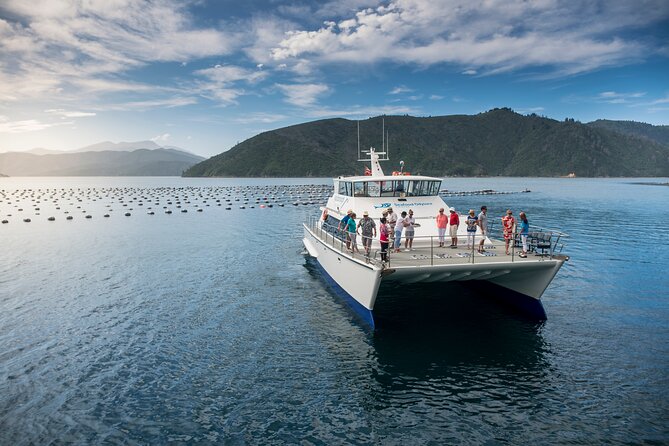 Discover Marlborough Wine - Afternoon Marlborough Wine Tour - Who should book this Marlborough outing?