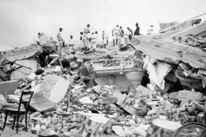 Discover Napier Earthquake: Self-Guided Audio Tour - Who should choose this Napier earthquake walk?