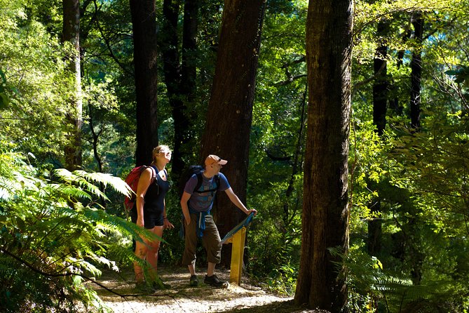 Discover Picton: Self-Guided Audio Tour - The War Memorial Arch and Picton’s public memory