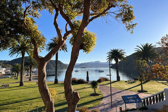 Discover Picton: Self-Guided Audio Tour - Māori connections and the Picton foreshore