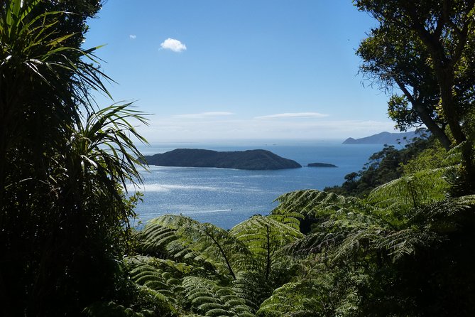 Discover Picton: Self-Guided Audio Tour - Is $15.29 good value?