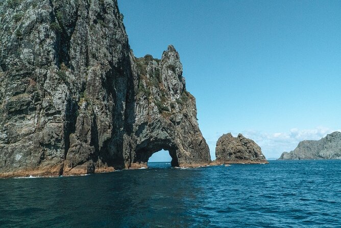 Discover the Bay - Hole in the Rock cruise includes Island Lunch - Cape Brett and the Hole in the Rock