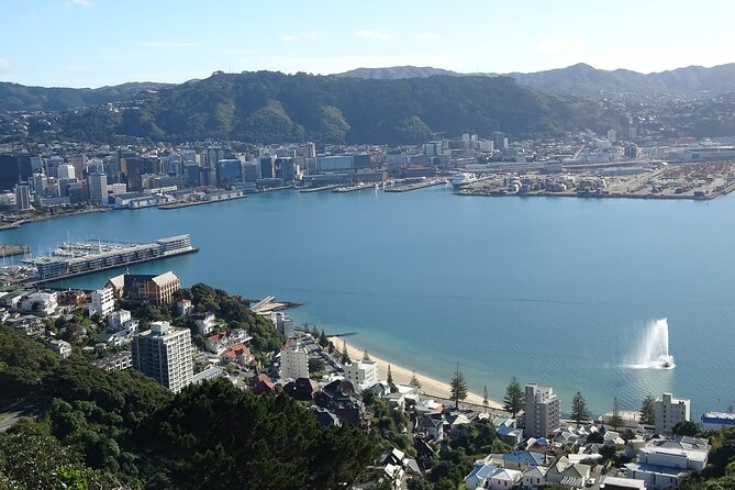 Discover Wellington 3 hour City Tour - Key points at a glance