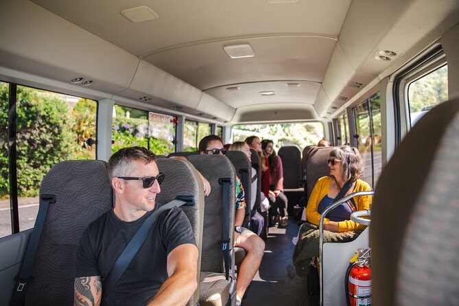 Discover Wellington 3 hour City Tour - Courtenay Place, Cuba Street, and the city center