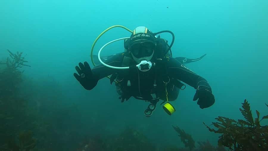 Double Boat Dive with Equipment - Returning for the second one-hour session