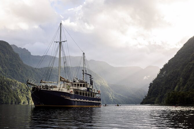 Doubtful Sound Overnight Cruise - Key points to know before booking
