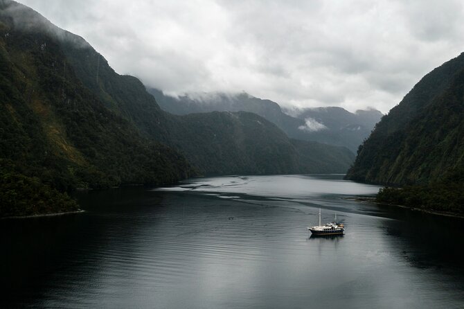 Doubtful Sound Overnight Cruise - What the second morning adds