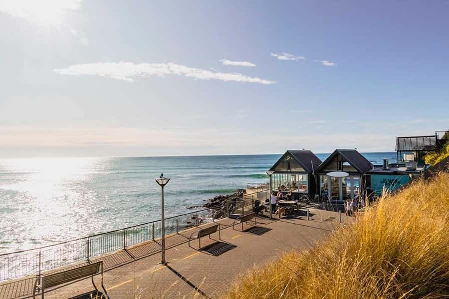 Dunedin: 3 Hour Artisan Food Walking Tour - Starting outside the iSite
