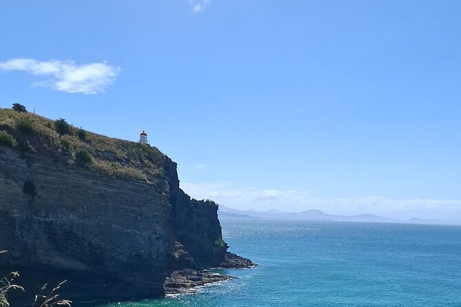 Dunedin and Otago Peninsula Private Tours Up to 4 people - Key points to know before booking