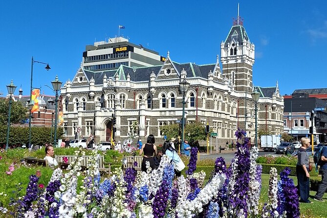Dunedin and Otago Peninsula Private Tours Up to 4 people - Hilltop views from Flagstaff, Mount Cargill, and Signal Hill