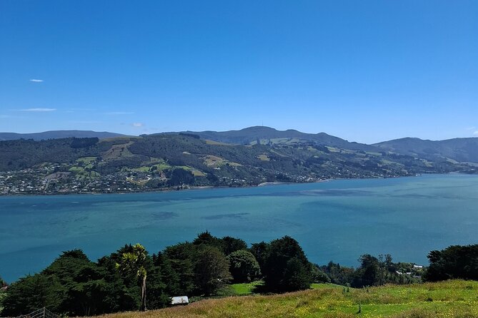 Dunedin and Otago Peninsula Private Tours Up to 4 people - Baldwin Street and the fun of a very steep walk
